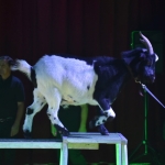 DSC_3847.jpg