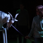 IMG_7984.jpg