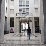 DSC_2473.jpg