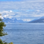 DSC_3001.jpg