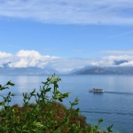 DSC_3013.jpg