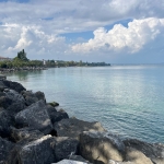 IMG_0474.jpg