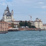 IMG_2649.jpg