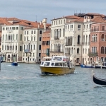 IMG_2723.jpg