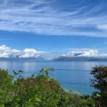 IMG_2768.jpg