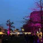 IMG_8582.jpeg